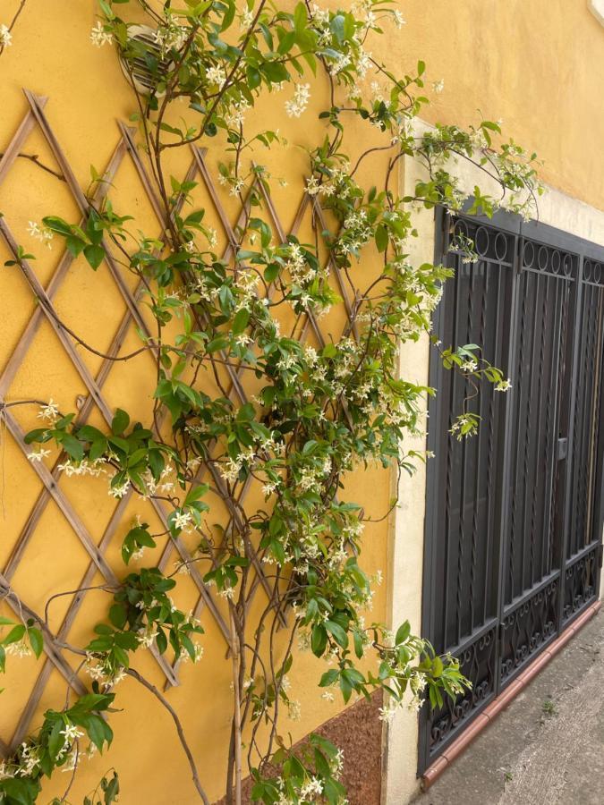B&B Mela Roggiano Gravina Bagian luar foto